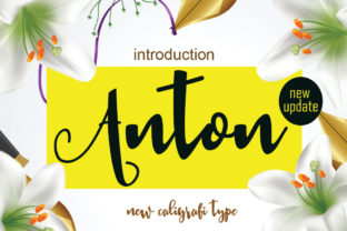 Anton Font Review