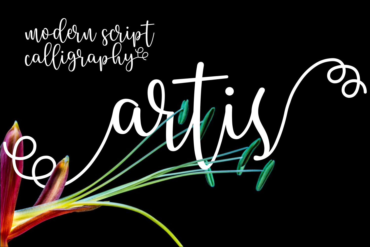 Artis: A Soft Script Font for Creative Projects