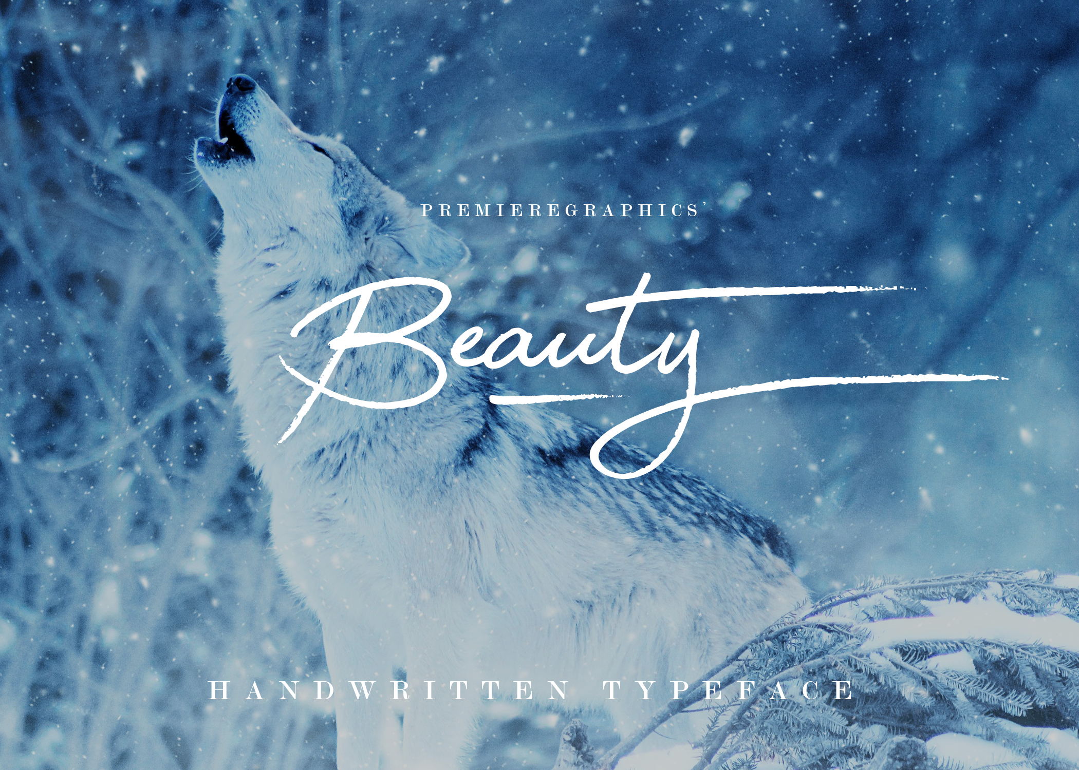 Beauty Font for Business Branding