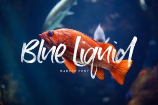 Blue Liquid Font Review