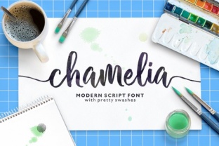 Chamelia Font for Creative Projects