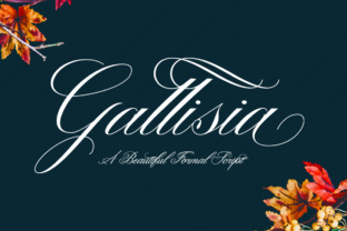 Gallisia Font: Elegant Script for Editorial Design