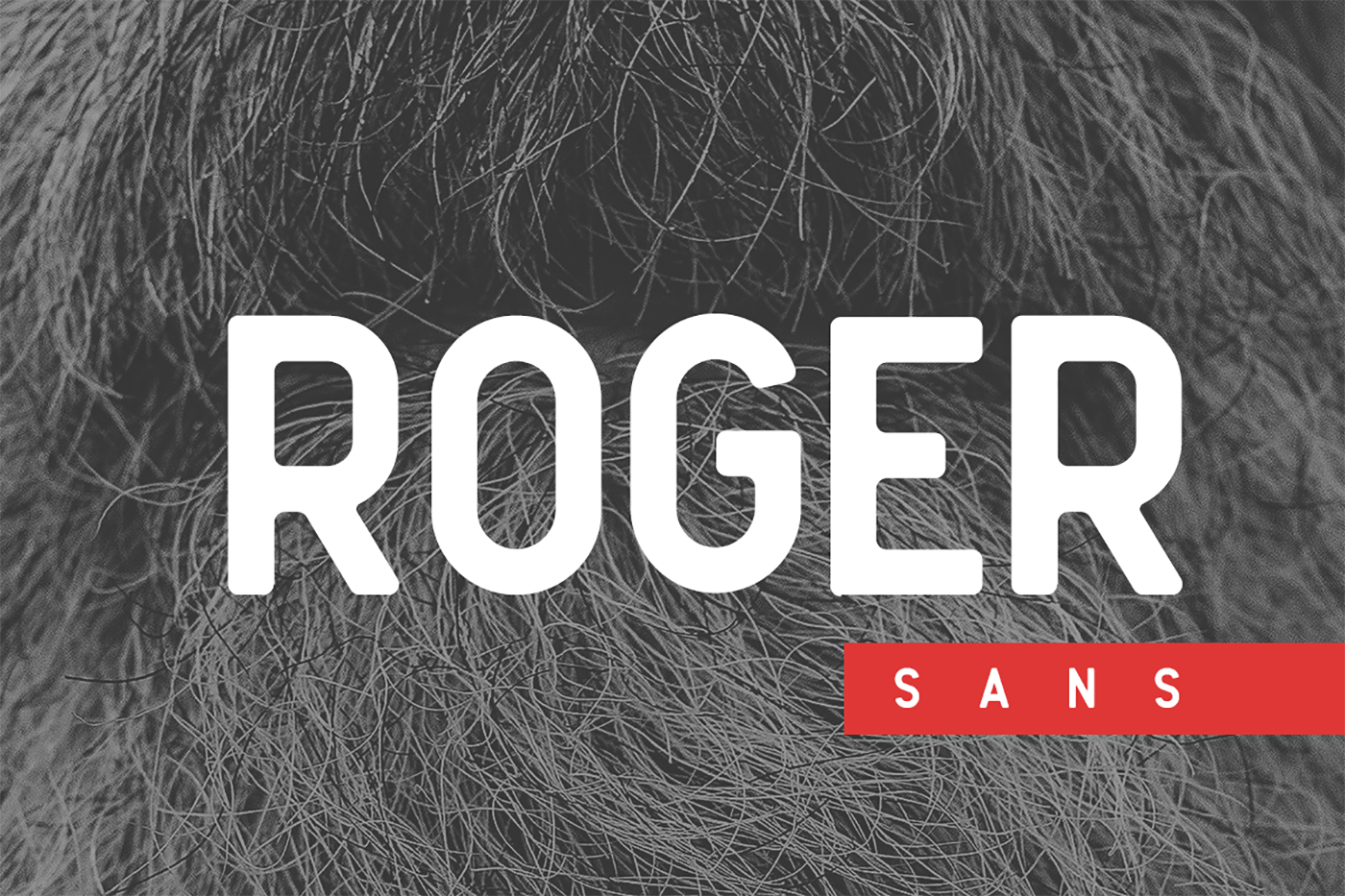 Roger Sans: A Font for Business Clarity