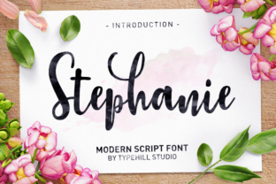Stephanie Script Font for Web Design