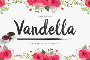 Vandella Font for Creative Campaigns