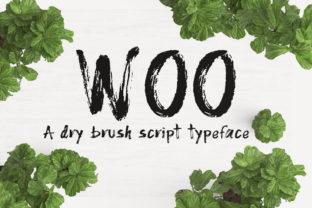 Woo Font: The Dry Brush Script for Bold Campaigns